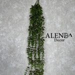 ریسه شمشاد سبز