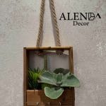 جاکلیدی کاکتوس