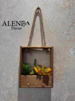 جاکلیدی کاکتوس - تصویر 2